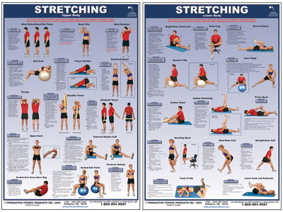 exercise chart. Stretching Charts Upper